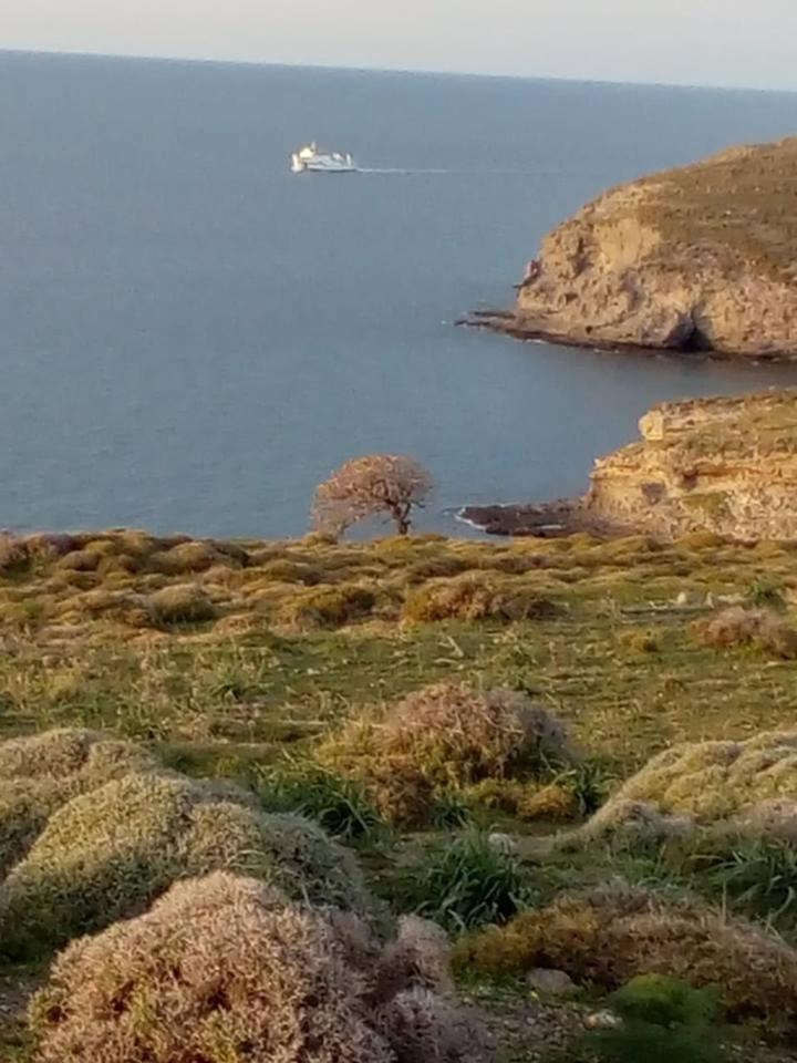 Galina Holiday Home Agios Evstratios Dış mekan fotoğraf